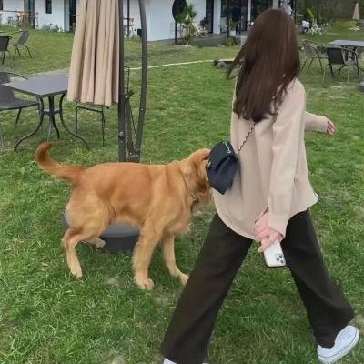 黄昏时分的朋友